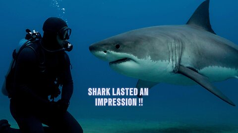 WHEN SHARK'S VISIT!!
