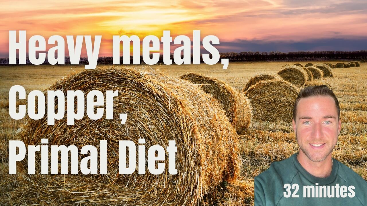 Heavy metals, Copper, and the Primal Diet