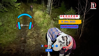 Skogpod 8. desember 2025