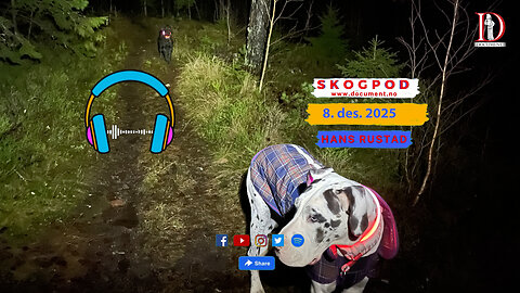 Skogpod 8. desember 2025