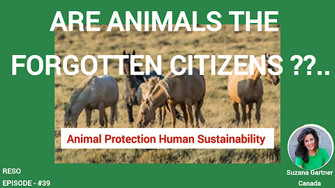 Are animals the forgotten citizens of our modern society?