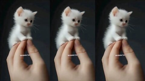 Adorable tyne animals #cat #duck #dog #goat #tiger #cuteanimals #catvideos #aicatstories #cutecat