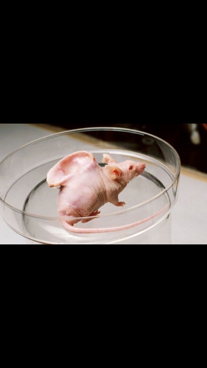 The National Library of Medicine reported that the PUBLIC is READY for HUMAN-ANIMAL .