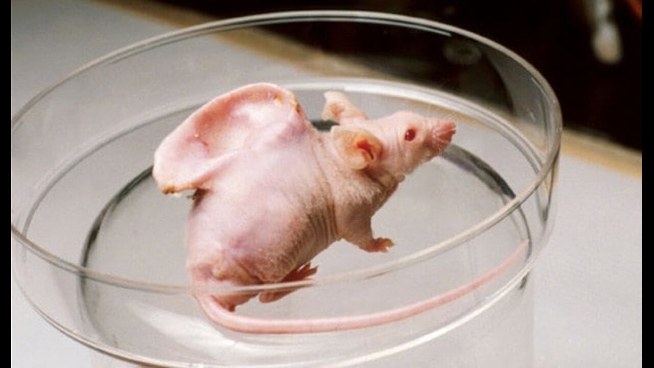 The National Library of Medicine reported that the PUBLIC is READY for HUMAN-ANIMAL .