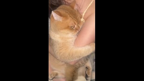 I feel shy🐈♥️