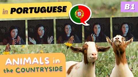 Animals in the Countryside | B1 European Portuguese with comprehensible input