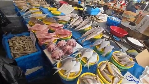 🛑 SLIGHTLY HOMELESS (YT) EXPLORING KOREA SMALL TOWNS 2-12-26