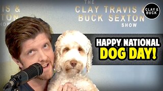 Happy National Dog Day! | Clay and Buck