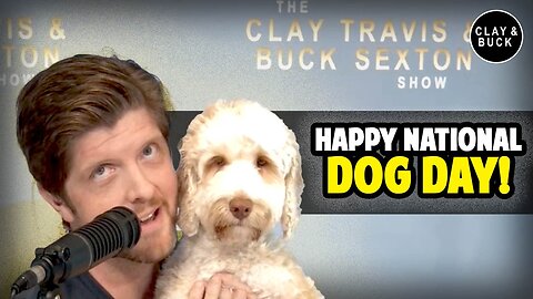 Happy National Dog Day! | Clay and Buck