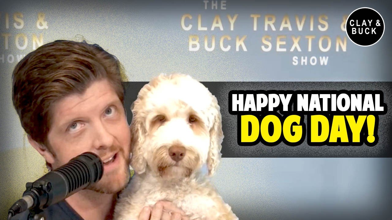Happy National Dog Day! | Clay and Buck