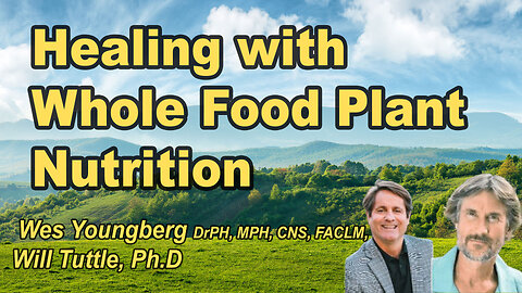 Optimal Health Unlocked: Evidence-Based Strategies to Combat Inflammation and Protect