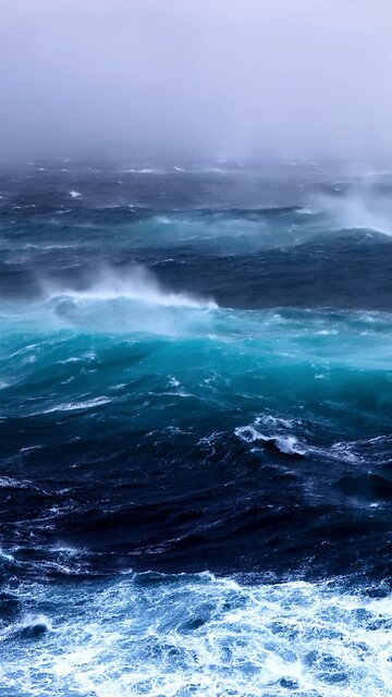 God's Creations Day 2