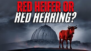 The Red Heifer Prophecy: Clones, Temples & End-Time Agendas