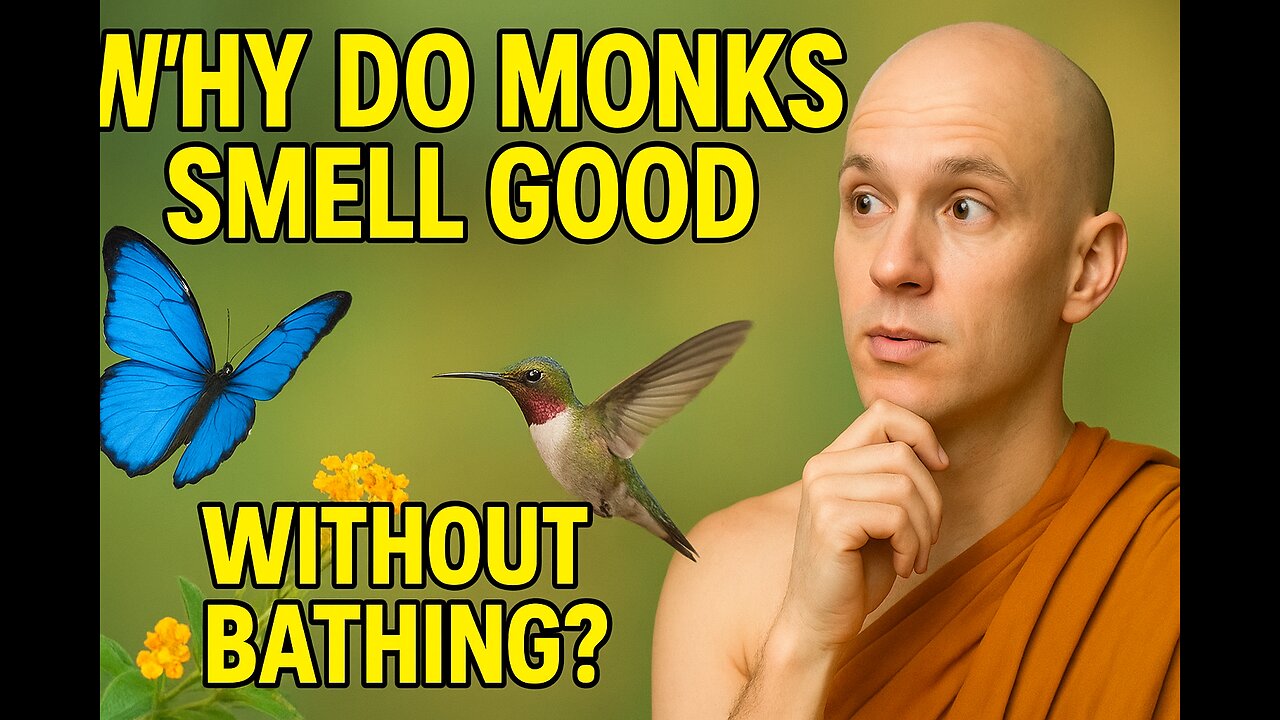 Why Do Monks Rarely Bathe Yet Attract Birds and Butterflies?
