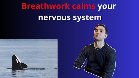 #98 Breathwork | Unlock The Power Of Your Breath