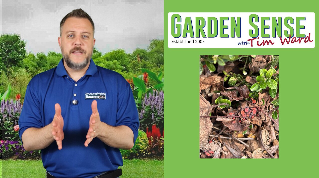 Garden Sense with Tim Ward - 07.09.25