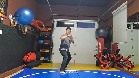 WTD 2 Step Kick Combination 131