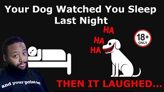 If Your Dog Starts Laughing… RUN - Analog Horror Reaction