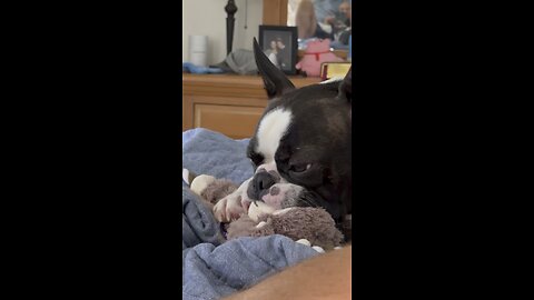 Hercules Kneads His Momma! | 4K