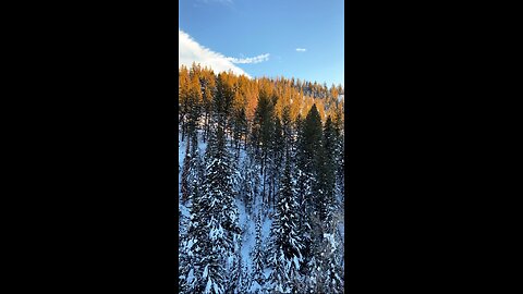 Snowboarding in Steamboat springs colorado