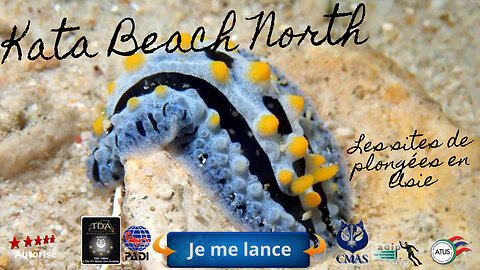 🐠 Kata Beach North – Le Meilleur de la Plongée du Bord en Thaïlande
