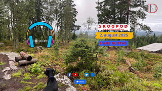 Skogpod 2. august 2025