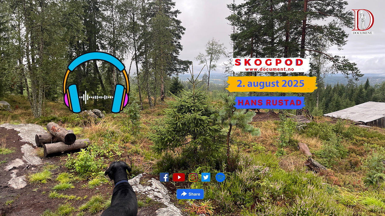 Skogpod 2. august 2025