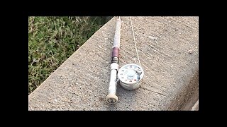 Micro Fly Fishing #mobile #fishing #livestream #irl