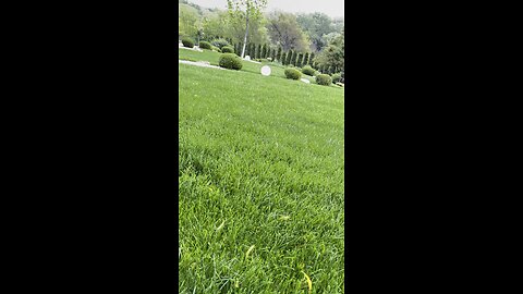 Grass fields