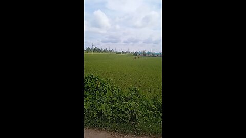 Gram Bangla