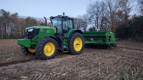Planting rye 2025