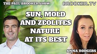 THE SUN, MOLD AND ZEOLITES WITH ANNA RODGERS