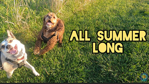 All Summer Long