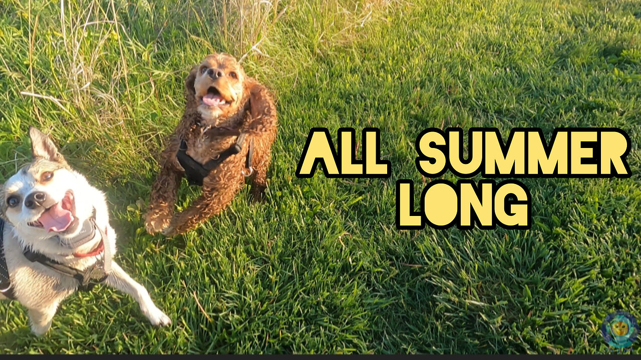 All Summer Long