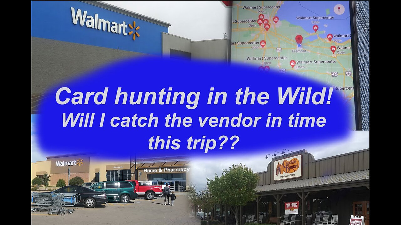 Card Hunting in the Wild Episode 73 Wild Card Quest: The Search for Hidden Gold #sportscards