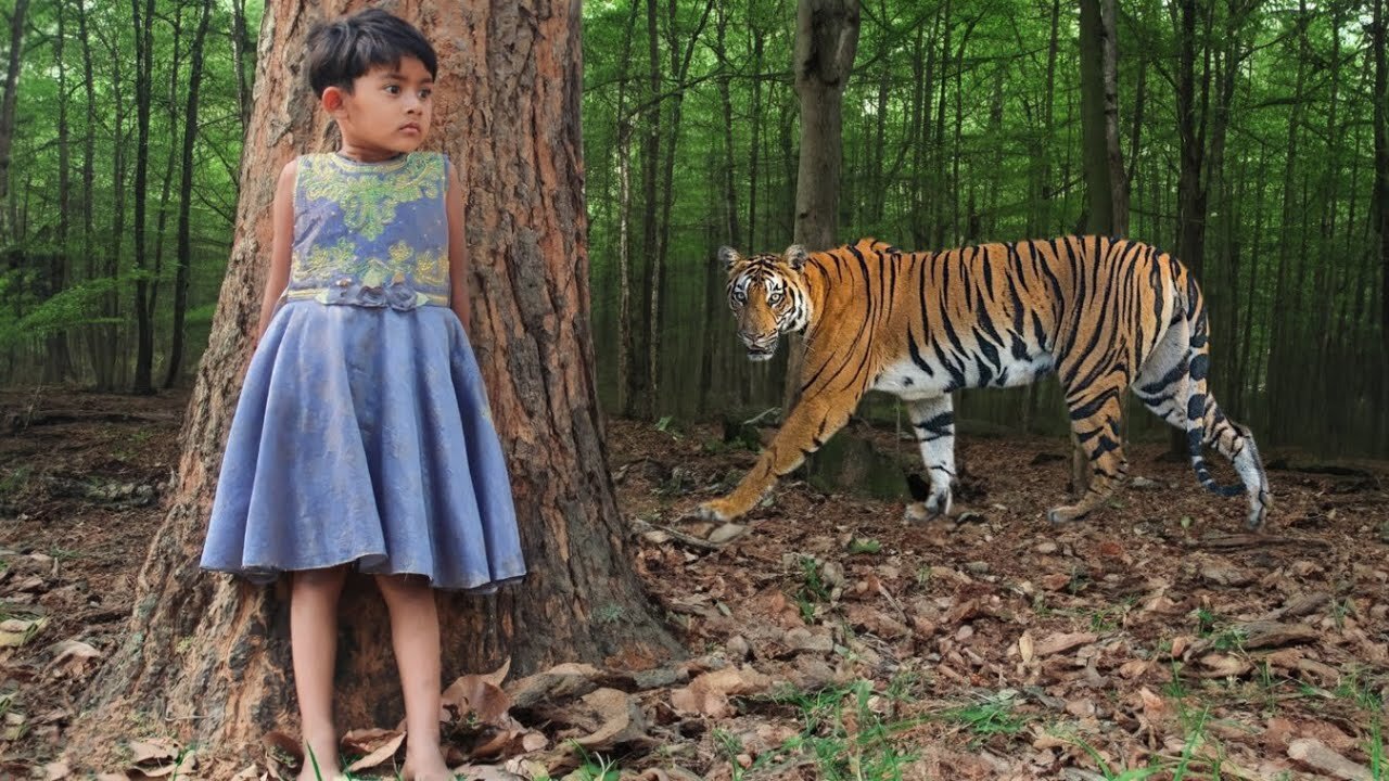 Tiger Attack man in the forest l Tiger Attack in jungle l Royal bengal tiger Attack