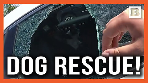Dog Rescue! Florida Sheriff Deputy Breaks Window on Locked Car During Scorching Day
