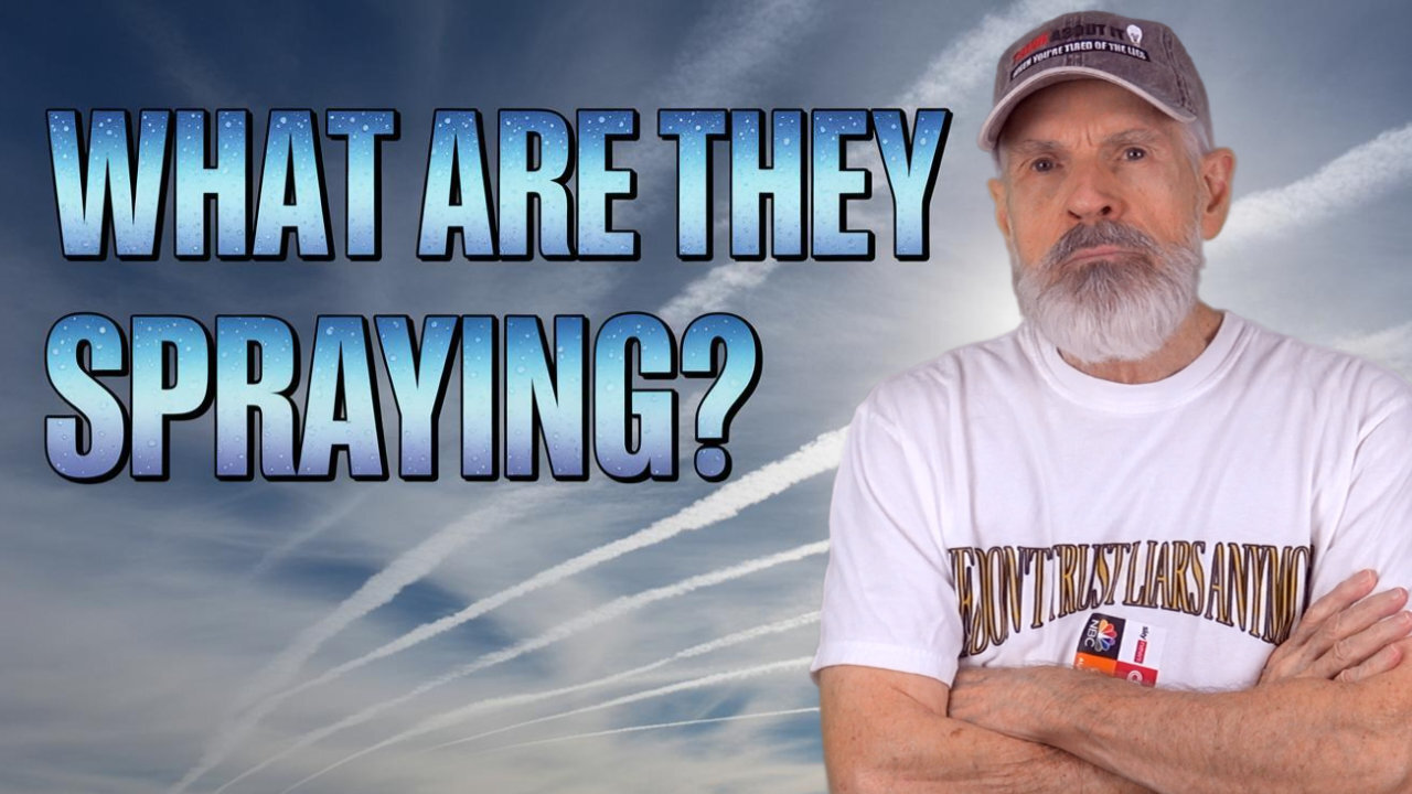 What's KILLING the Bees and Insects in Our Skies?