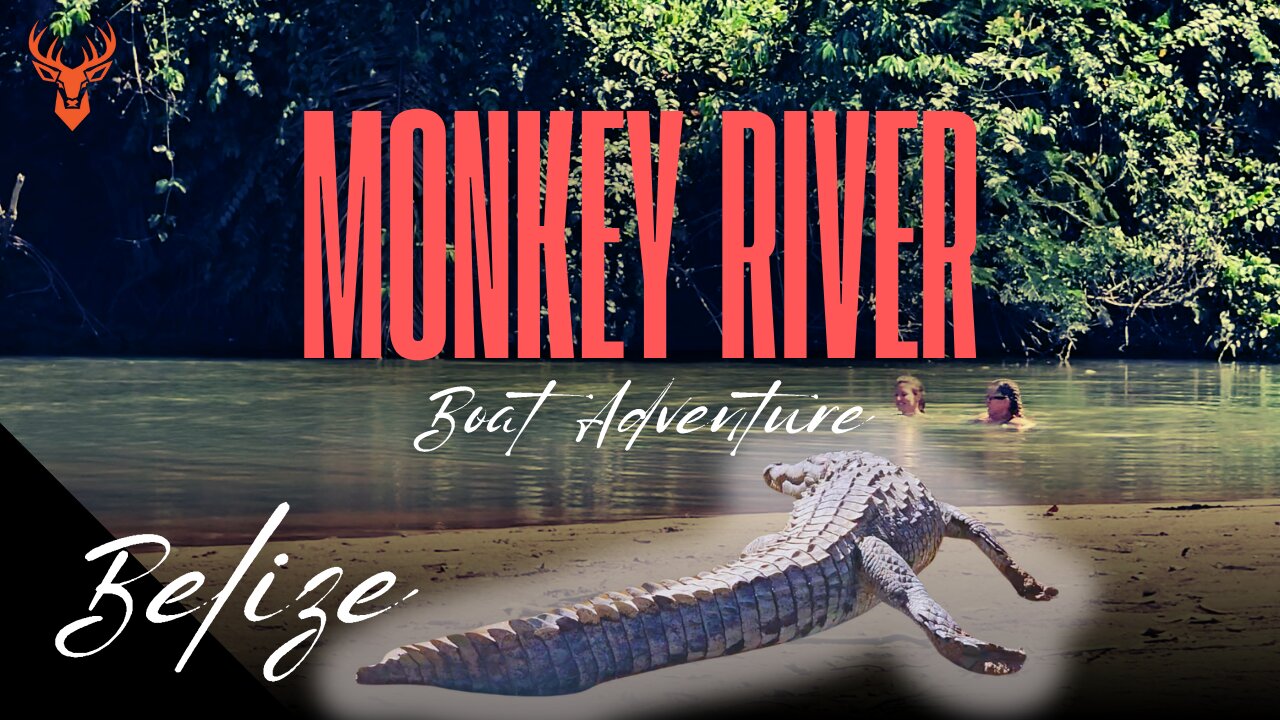 Crocodiles, Howler Monkeys, Manatees and MORE! | Monkey River Boat Adventure in Belize