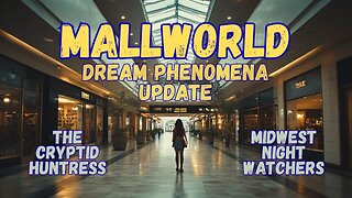 MALLWORLD COLLECTIVE DREAM UPDATE WITH MIDWEST NIGHT WATCHERS