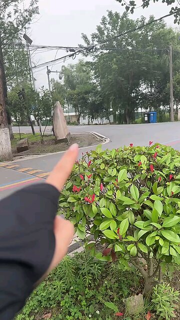 All right All right I see #cars #luxurycars #luxury #luxuryautomobiles #automobile #viral #top #fyp