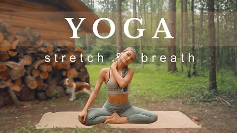 Yoga in Nature for Beginners 15-Min Stretch with My Dog