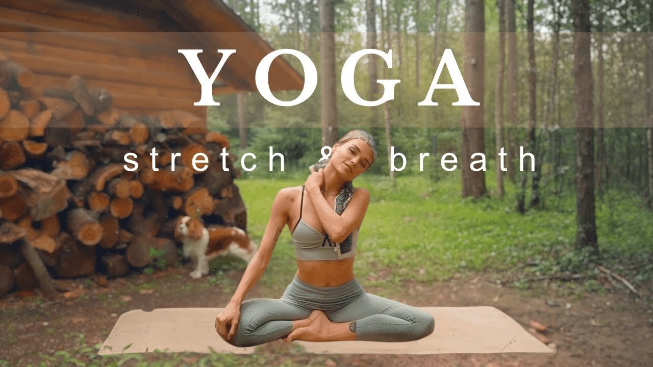 Yoga in Nature for Beginners 15-Min Stretch with My Dog