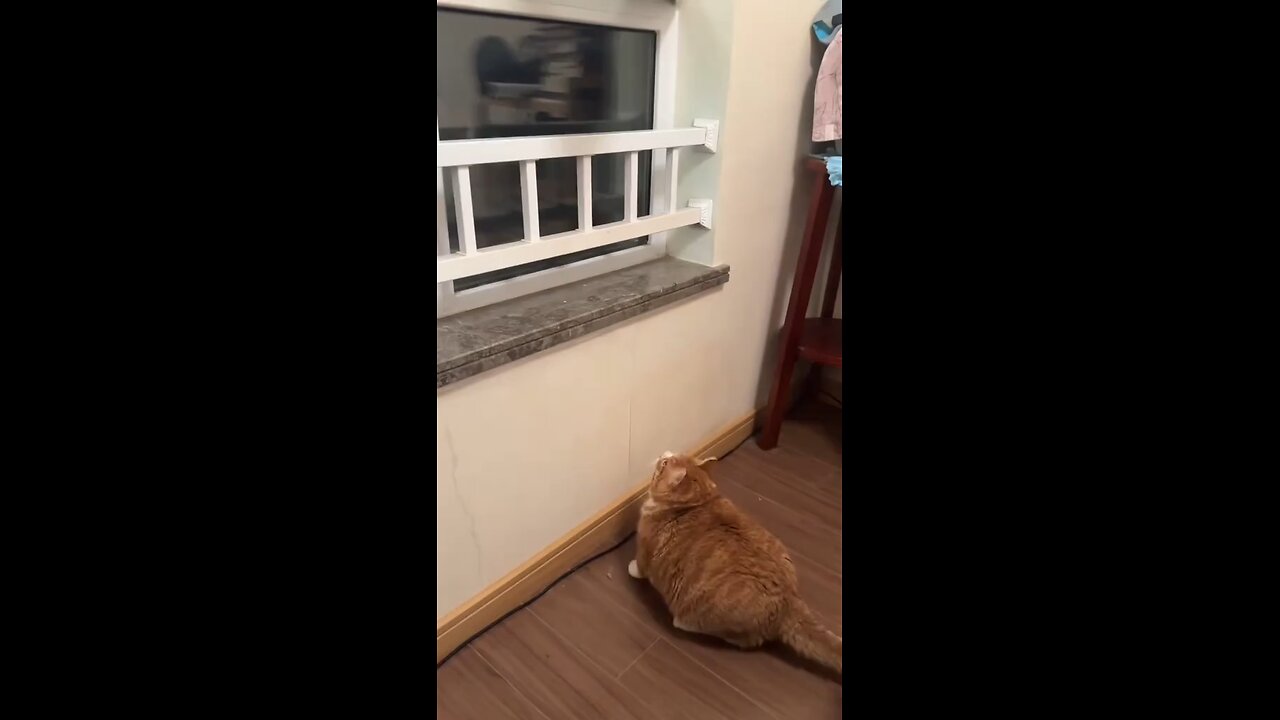 Big,
