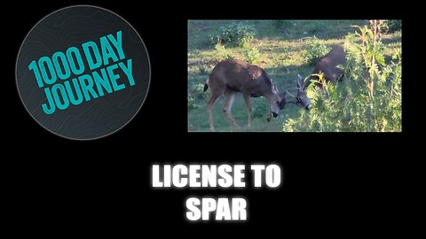 1000 Day Journey 0875 License to Spar
