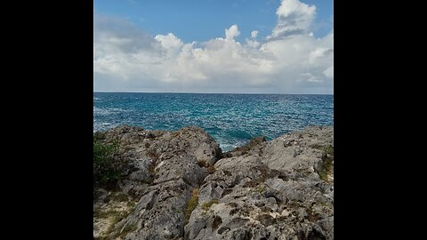 fishes in the sea- calming music