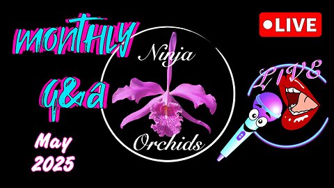 Monthly Q&A FAQ May 2025 Comments Review Orchid Related or Not Diverse Topics #ninjaorchids