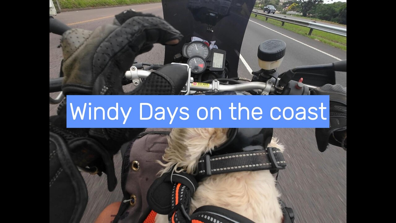 Windy days on the coast