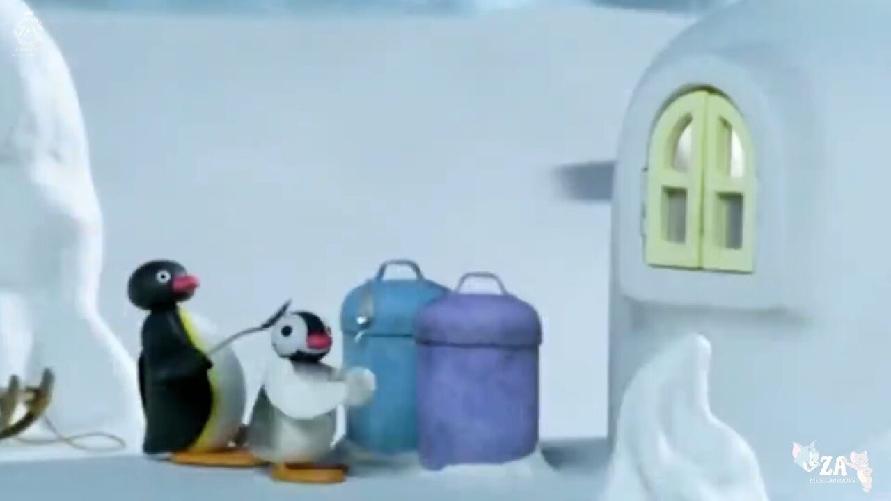 Pingu Cartoons