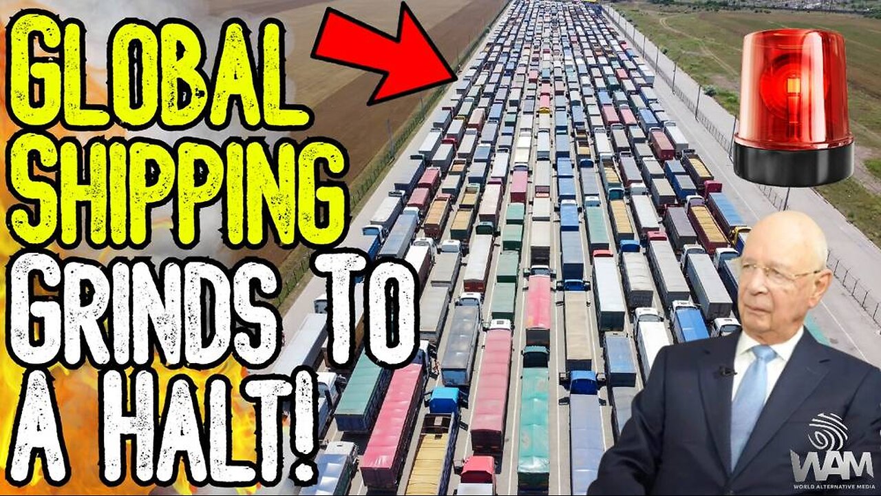 GLOBAL SHIPPING GRINDS TO HALT! - Net Zero Meat Bans & Panic Buying Imminent!